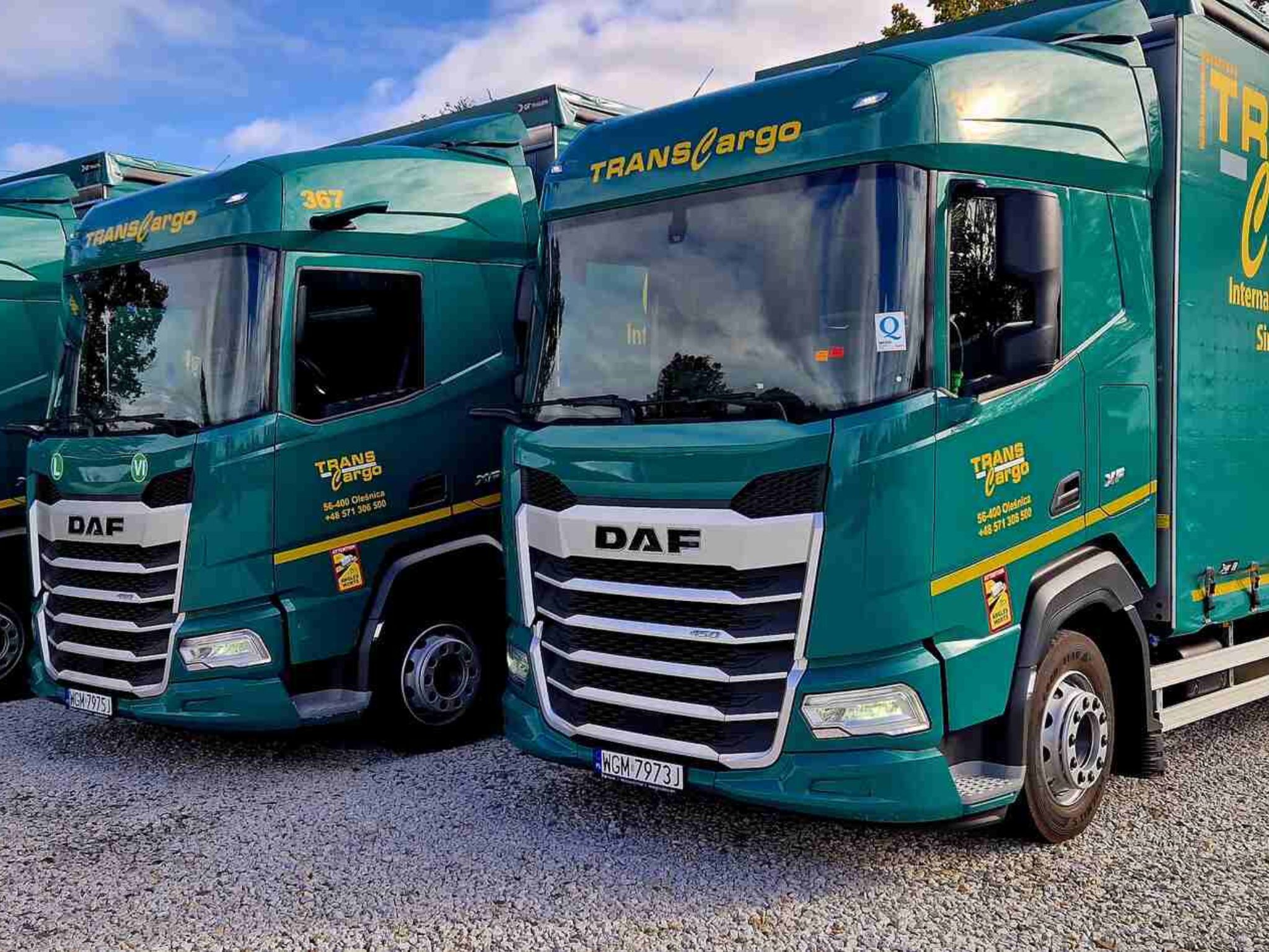 Trans-Cargo Group Sp. z o.o. Sp.k.'s Avatar