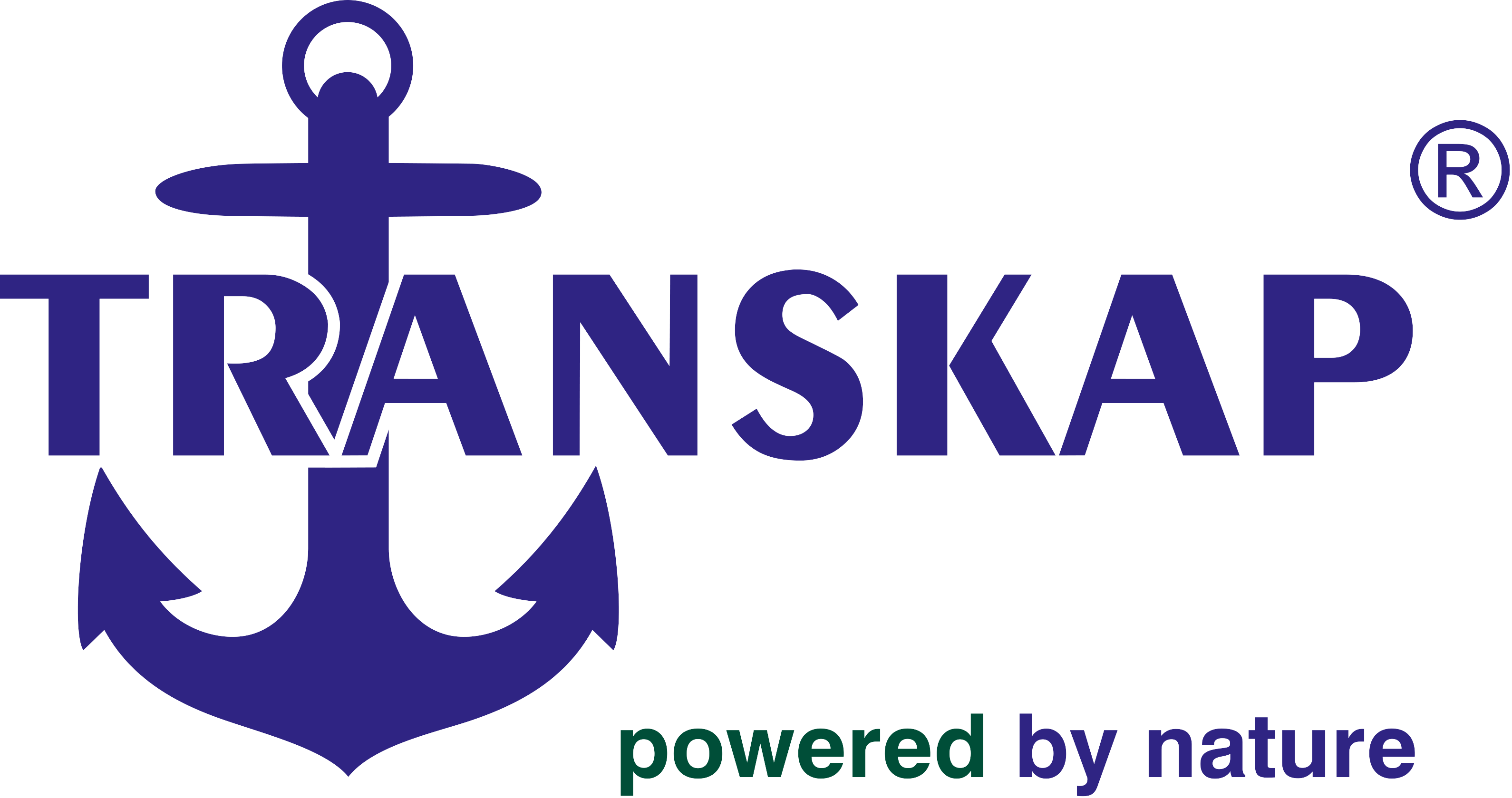 Transkap International's Avatar
