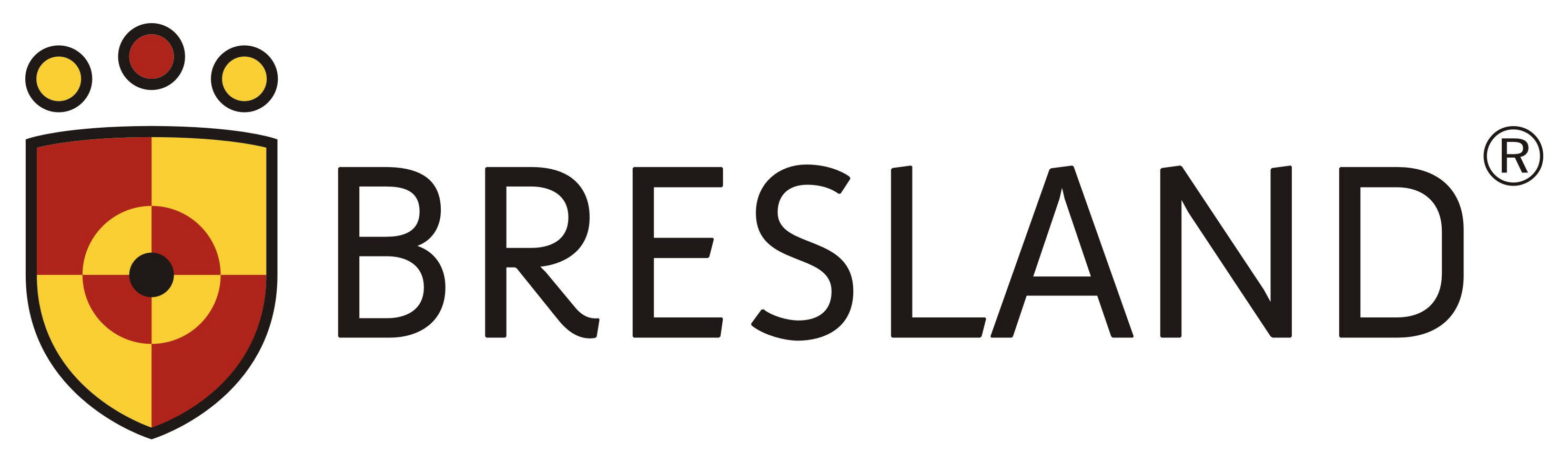 Logo firmy